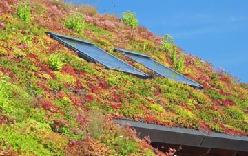 Brookleigh living roof systems